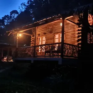 Aya Natural Farm stay